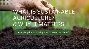 Sustaining Our Planet Through Agriculture